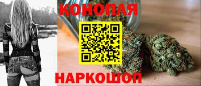jwh Будённовск
