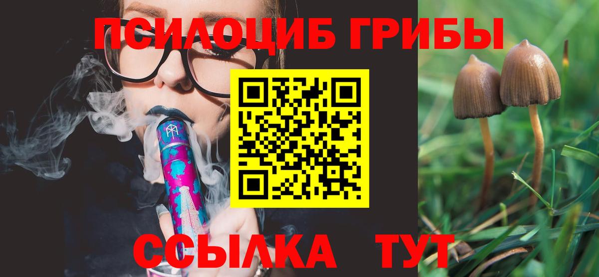 Псилоцибиновые грибы Magic Shrooms  Галлюциногенные грибы Cubensis  Вход с VPN  Славянск-на-Кубани 
